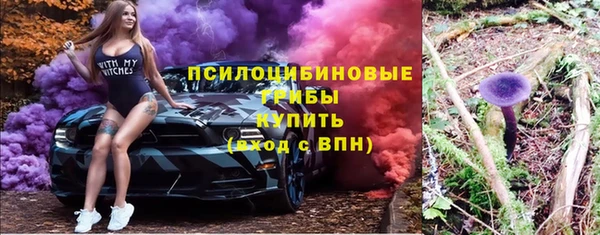 ПСИЛОЦИБИНОВЫЕ ГРИБЫ Волосово