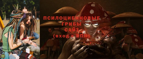 ПСИЛОЦИБИНОВЫЕ ГРИБЫ Волосово