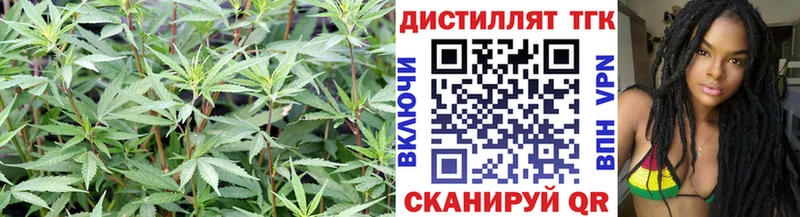 Купить закладки  Невьянск  ТГК Wax 